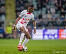 莱比锡不苦胡桃的寓意